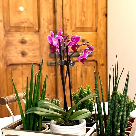 Casa Belfiore Appartamento