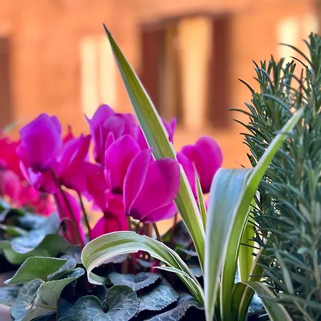Casa Belfiore Appartamento *